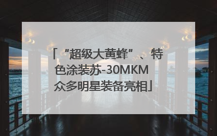 “超级大黄蜂”、特色涂装苏-30MKM 众多明星装备亮相