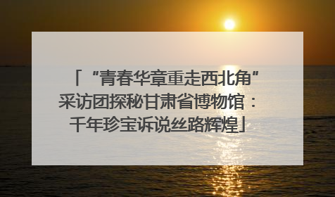 “青春华章重走西北角”采访团探秘甘肃省博物馆：千年珍宝诉说丝路辉煌