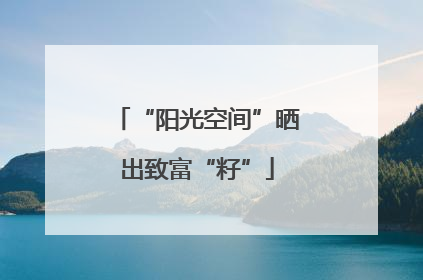 “阳光空间”晒出致富“籽”