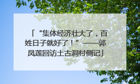 “集体经济壮大了，百姓日子就好了！”——郭凤莲回访土古洞村侧记