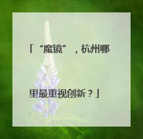 “魔镜”，杭州哪里最重视创新？