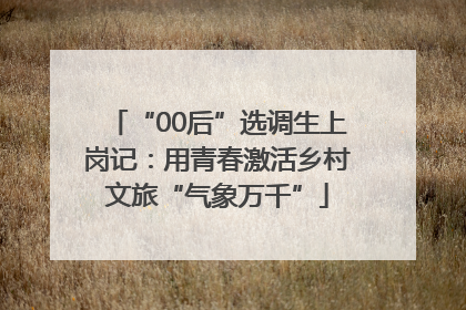 “00后”选调生上岗记：用青春激活乡村文旅“气象万千”