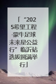 “2025希望工程·蒙牛足球未来星公益行”临沂站选拔圆满举行