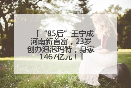 “85后”王宁成河南新首富，23岁创办泡泡玛特，身家1467亿元！