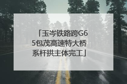 玉岑铁路跨G65包茂高速特大桥系杆拱主体完工