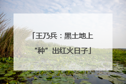 王乃兵：黑土地上“种”出红火日子