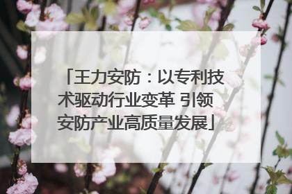 王力安防：以专利技术驱动行业变革 引领安防产业高质量发展