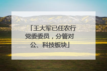 王大军已任农行党委委员，分管对公、科技板块