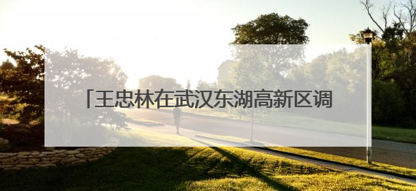 王忠林在武汉东湖高新区调研 以科技创新引领新质生产力发展 加快打造具有全国影响力的科技创新高地
