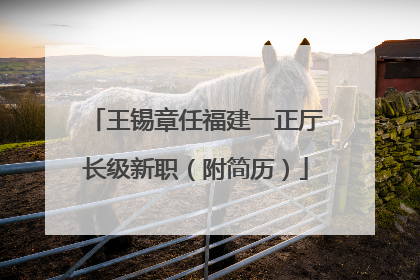 王锡章任福建一正厅长级新职（附简历）