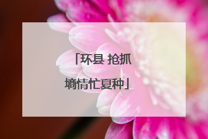 环县 抢抓墒情忙夏种