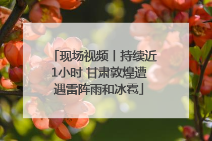 现场视频丨持续近1小时 甘肃敦煌遭遇雷阵雨和冰雹