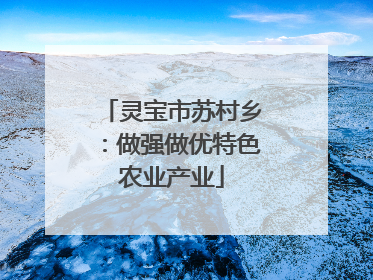 灵宝市苏村乡：做强做优特色农业产业
