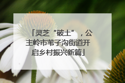 灵芝“破土”，公主岭市苇子沟街道开启乡村振兴新篇