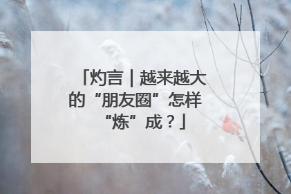 灼言｜越来越大的“朋友圈”怎样“炼”成？