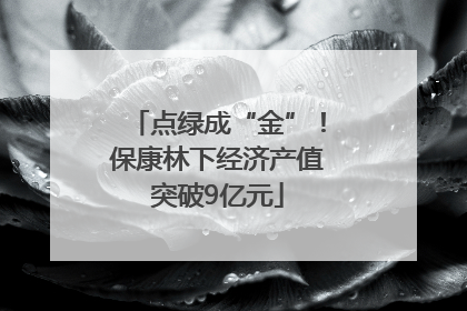 点绿成“金”！保康林下经济产值突破9亿元
