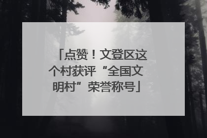 点赞！文登区这个村获评“全国文明村”荣誉称号