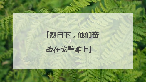 烈日下，他们奋战在戈壁滩上