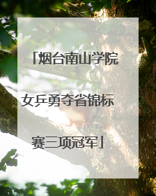 烟台南山学院女乒勇夺省锦标赛三项冠军
