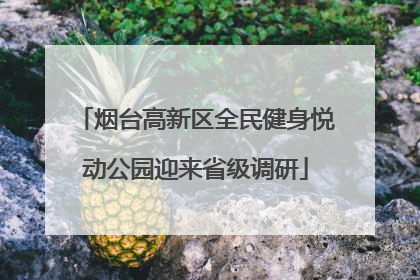 烟台高新区全民健身悦动公园迎来省级调研