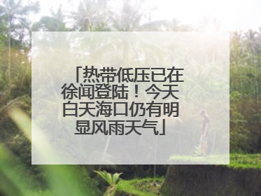 热带低压已在徐闻登陆！今天白天海口仍有明显风雨天气