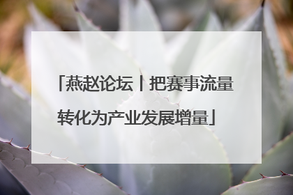 燕赵论坛丨把赛事流量转化为产业发展增量