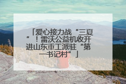 爱心接力战“三夏”！雷沃公益机收开进山东重工派驻“第一书记村”