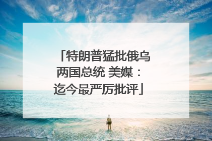 特朗普猛批俄乌两国总统 美媒：迄今最严厉批评