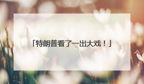 特朗普看了一出大戏！