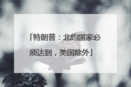 特朗普：北约国家必须达到，美国除外