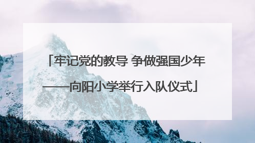 牢记党的教导 争做强国少年——向阳小学举行入队仪式