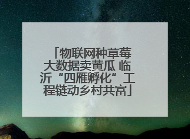 物联网种草莓 大数据卖黄瓜 临沂“四雁孵化”工程链动乡村共富