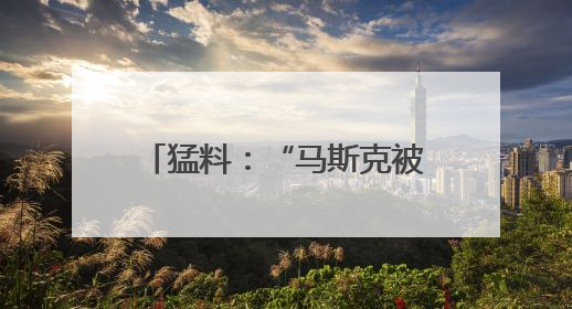 猛料：“马斯克被长期秘密监控！”