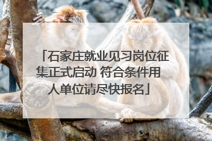 石家庄就业见习岗位征集正式启动 符合条件用人单位请尽快报名