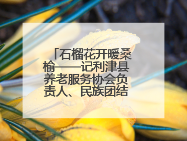 石榴花开暖桑榆——记利津县养老服务协会负责人、民族团结践行者魏喜凤