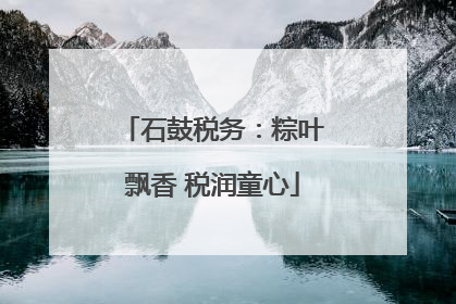 石鼓税务：粽叶飘香 税润童心