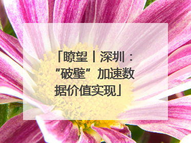 瞭望丨深圳：“破壁”加速数据价值实现