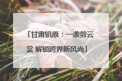 甘肃镇原：一袭剪云裳 解锁跨界新风尚