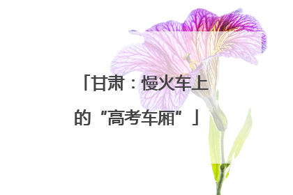 甘肃：慢火车上的“高考车厢”