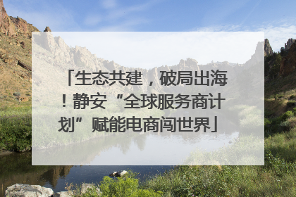生态共建，破局出海！静安“全球服务商计划”赋能电商闯世界
