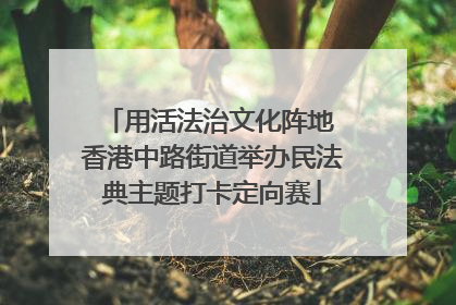 用活法治文化阵地 香港中路街道举办民法典主题打卡定向赛