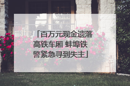 百万元现金遗落高铁车厢 蚌埠铁警紧急寻到失主