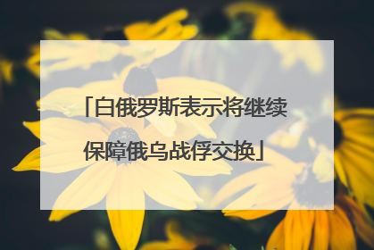 白俄罗斯表示将继续保障俄乌战俘交换