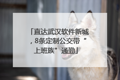 直达武汉软件新城，8条定制公交带“上班族”通勤