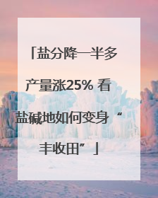 盐分降一半多 产量涨25% 看盐碱地如何变身“丰收田”