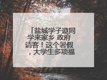 盐城学子邀同学来家乡 政府请客！这个暑假，大学生多项福利免费游盐城