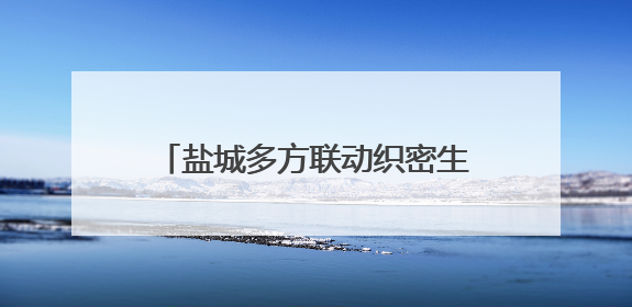 盐城多方联动织密生态安全防护网，护万物共生 绘和美画卷