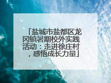 盐城市盐都区龙冈镇暑期校外实践活动：走进徐庄村，感悟成长力量