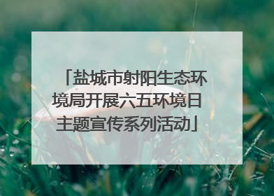盐城市射阳生态环境局开展六五环境日主题宣传系列活动