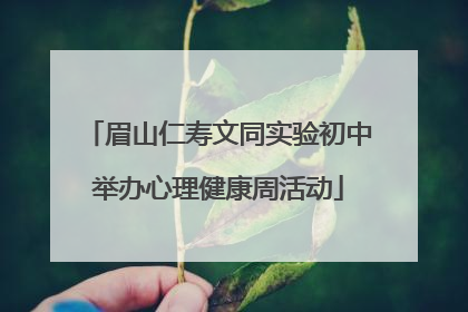 眉山仁寿文同实验初中举办心理健康周活动